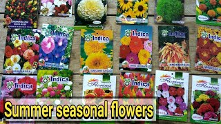 गर्मियों में बीज से लगाए जाने वाले पौधे  Summer seasonal flowers from seeds [upl. by Arjan]