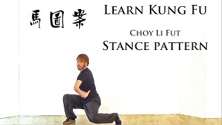 Learn Kung Fu  Choy Li Fut stances [upl. by Valentina975]