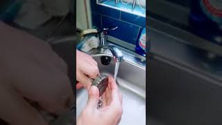 How to clean a Magnaclean Micro 2 filter 🧼 [upl. by Grey]