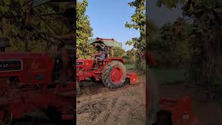 👋🏻♥️🌿Jeet jaoge💪🏻💸⭐youtubeshorts trendingfarmer desibalak tractormaschio rotavatershaktimaan [upl. by Cherye]