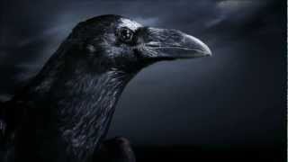 The Three Ravens Jack the Ripper HD  Lyrics [upl. by Maddie]