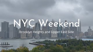 NYC Weekend  Brooklyn Book Festival visiting cat cafe UES walk [upl. by Noll597]