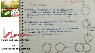 Theta model and rolling circle model of DNA replication in prokaryotes [upl. by Valle69]