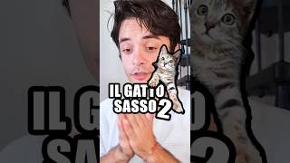 Il gatto sasso 2 🐈 [upl. by Orv]