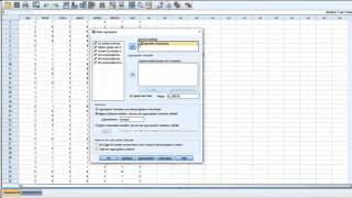 Spss 23 Daten aggregieren [upl. by Venator]