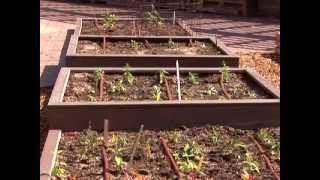 Building a Raised Bed for Gardens [upl. by Aneela]