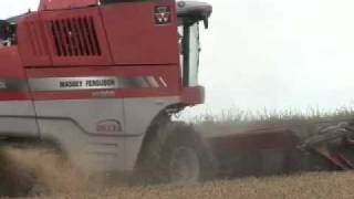 Massey Fergusons new flagship 500HP combine  the Delta [upl. by Areit567]