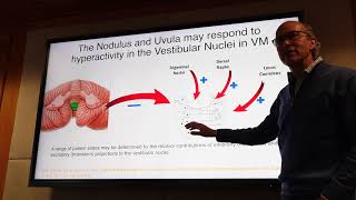 On the Origins of Vestibular Symptoms in Migraine  Sub Classifying Vestibular Migraine Patients [upl. by Renee]