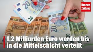 12 Millionen Euro für quotMenschen die was leistenquot  kronetv NEWS [upl. by Annohsak73]