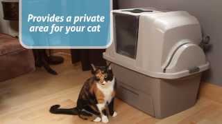 MOXY amp Smart Litter Box by Catit [upl. by Audry]