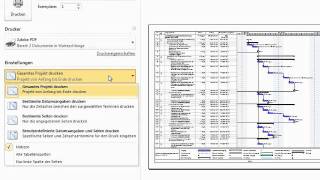 PDF aus Microsoft Project  Episode 110 [upl. by Jessen896]