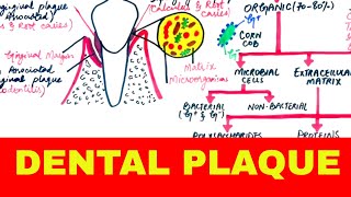 Dental Plaque  Structure Composition amp Formation [upl. by Ahsinid165]