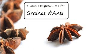 Les 4 vertus des graines danis [upl. by Einnus]