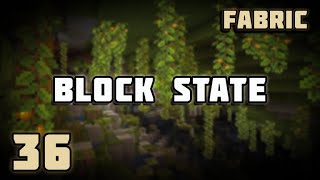 What is Block State  Fabric Modding Minecraft 1211  36 [upl. by Ketti]