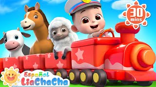 Animales en el Chu Chu Tren  Sonidos de Animales  LiaChaCha en Español  Canciones Infantiles [upl. by Veronica]