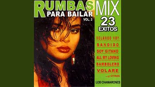 Rumbas Para Bailar Vol2 Mix [upl. by Alcinia532]