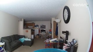 Burglars caught on camera [upl. by Patrich99]