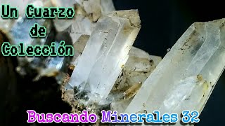 Buscando Minerales 32  Encuentro Excelente CRISTAL de CUARZO en una Veta [upl. by Susanetta]