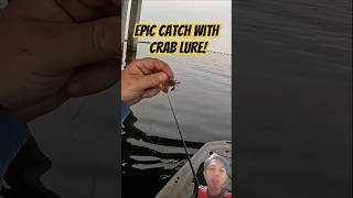 Epic Catch Artificial Crab Lure Lands Big Fish 🎣 Amazing Crab Fishing [upl. by Schilt]