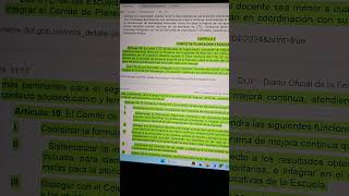 Resumen Lineamientos CTE 2024 ACUERDO 050424 Funciones Comité Planeación y Evaluación Sexta sesión [upl. by Yonah]