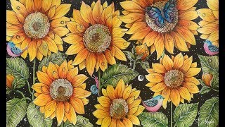 Inspirational Colorists 20th Video – 100 More Pics Update – Coloring Exhibition [upl. by Annaegroeg]