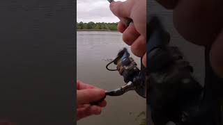 Crappie Fishing Bobber and Jig [upl. by Derian]