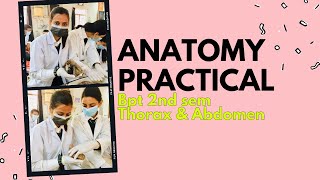 Anatomy Practical  Dissection  BPT practical  Medical Students  Anatomy [upl. by Badr444]