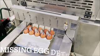 DAMTECH Optipack40 repacker egg packer [upl. by Liam183]