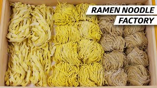 How a Ramen Noodle Factory Makes 300000 Noodle Orders a Day — The Experts [upl. by Aenaj858]