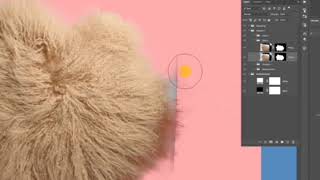 How To Find Refine Edge Tool In Photoshop  Where To Find Refine Tool [upl. by Aras]