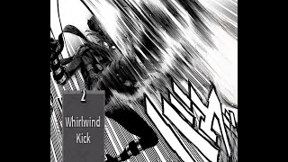 WHIRLWIND KICK [upl. by Ecyrb]