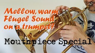 TrumpetScout TechnikCheck Mundstück mit FlügelhornKessel [upl. by Henghold]