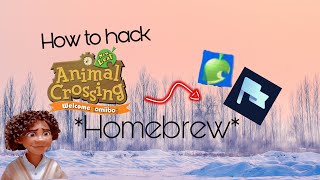 How to hack your Animal Crossing Welcome Amiibo 3DS with leaf edit homebrew [upl. by Lhamaj]