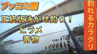 【浜名湖】海釣り公園 サビキ 泳がせ 青物 ヒラメ 堤防 浜名湖 浜名湖釣り 海釣り 海釣り サビキ サビキ釣り 泳がせ 泳がせ釣り ヒラメ ヒラメ釣り 青物 堤防 [upl. by Berthe232]