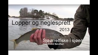 Sjøørretfiske i Sjøen  Lopper og neglesprett 2013 Med Eivind Berulfsen [upl. by Arada704]