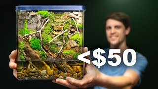 Easy Nano Eco Cube  Cheap DIY Paludarium [upl. by Wescott]