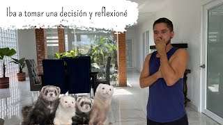 Un día entre animales cuidados y decisiones importantes [upl. by Nosylla]