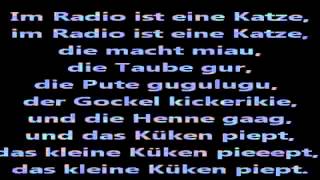 Pulcino Pio  Das kleine Küken piept  Lyrics [upl. by Anyg29]