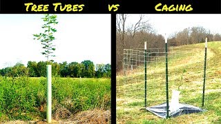 Tree Protection from Wildlife Tree Tubes vs Tree Cages [upl. by Hooge]