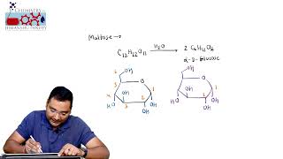 Lecture12 Structure of Maltose [upl. by Ydnahs992]