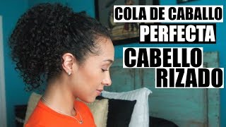 Cola De Caballo Perfecta Cabello Rizado  RisasRizos En Español [upl. by Yrahk]