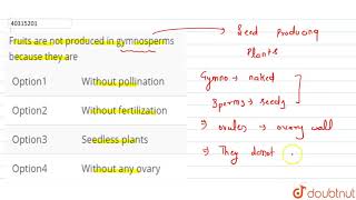 Fruits are not produced in gymnosperms because they are [upl. by Ardnasela]