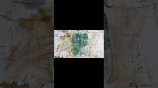 Amazing TransformationFromDirty Green Carpet to Brilliant Piece ofArt YouTube Carpet Cleaning Video [upl. by Hanforrd]