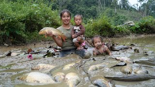 How to harvest longterm fish ponds and bring them to the market to sell with your children [upl. by Shaylah]