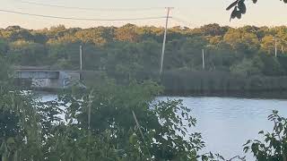 LIRR Trains Passing close by the Forge Marina on the Bridge [upl. by Adnovay]