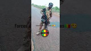 Forces spéciales du Mali🇲🇱🇲🇱💪☑️💥 [upl. by Arihsaj494]