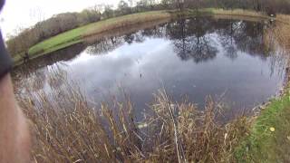 Trout Fishing At Rockbourne Fishery Hampshire [upl. by Kliman914]