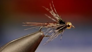 Bead Head Soft Hackle Pheasant Tail [upl. by Halyk]