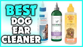 5 Best Dog Ear Cleaner in 2022 [upl. by Gnod236]