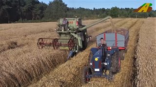 Giganten der Vergangenheit  Claas Matador Gigant Mähdrescher und Lanz Bulldog Getreideernte [upl. by Howzell]